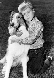 Timmy And Lassie