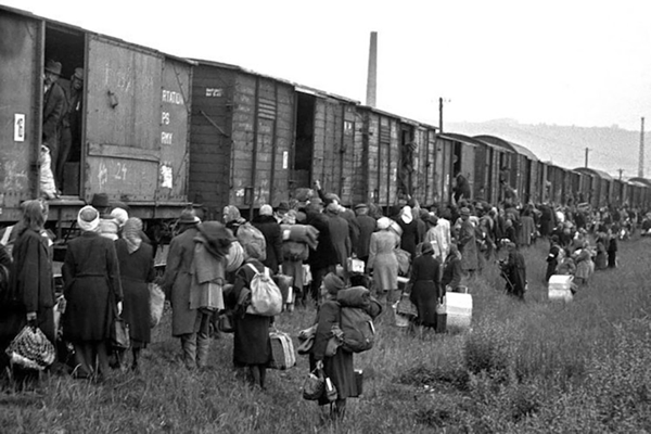 Holocaust Train Cars