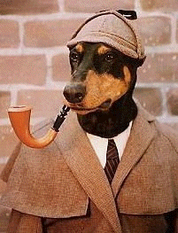 Sherlock Dog